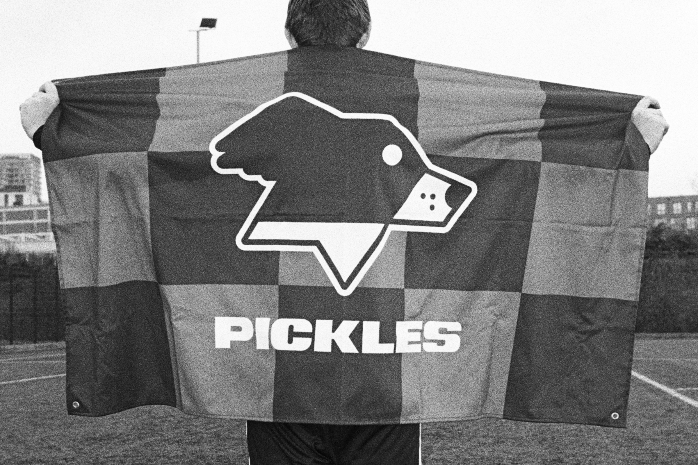Pickles image